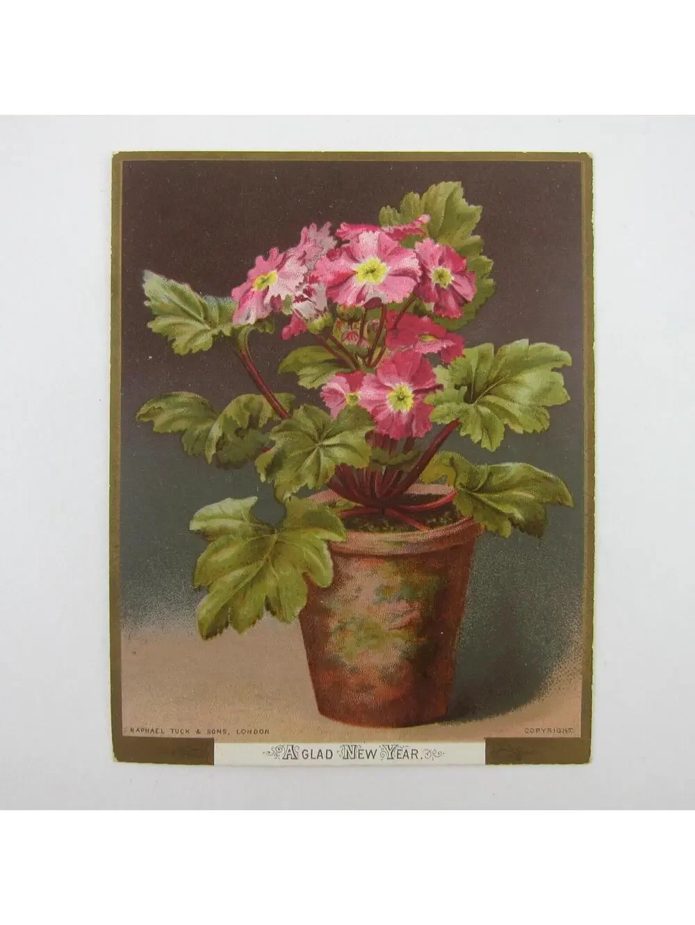 Victorian Greeting Card New Years Raphael Tuck & Sons Pink Primrose Flowers Pot